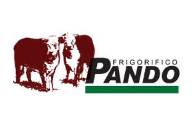 19-PANDO