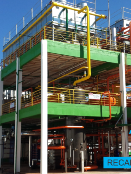 Figura 1. UEE em uma Planta de Abate Animal.